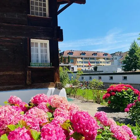 Chalet Jungfrau View * 因特拉肯