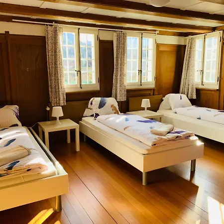 Homestay Chalet Jungfrau View *
